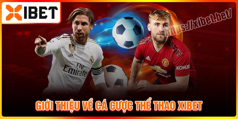 Đôi nét về sảnh cá cược thể thao Xibet