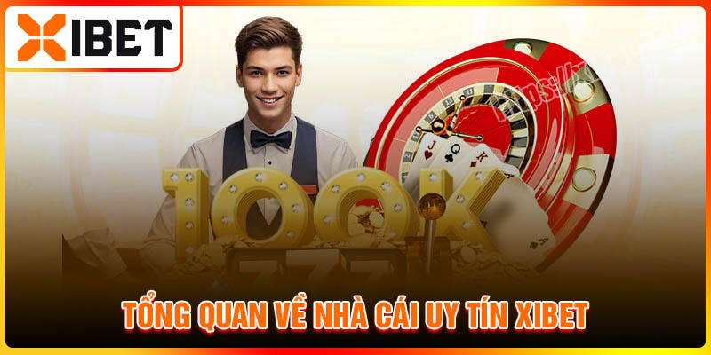 Tổng quan về nhà cái uy tín Xibet